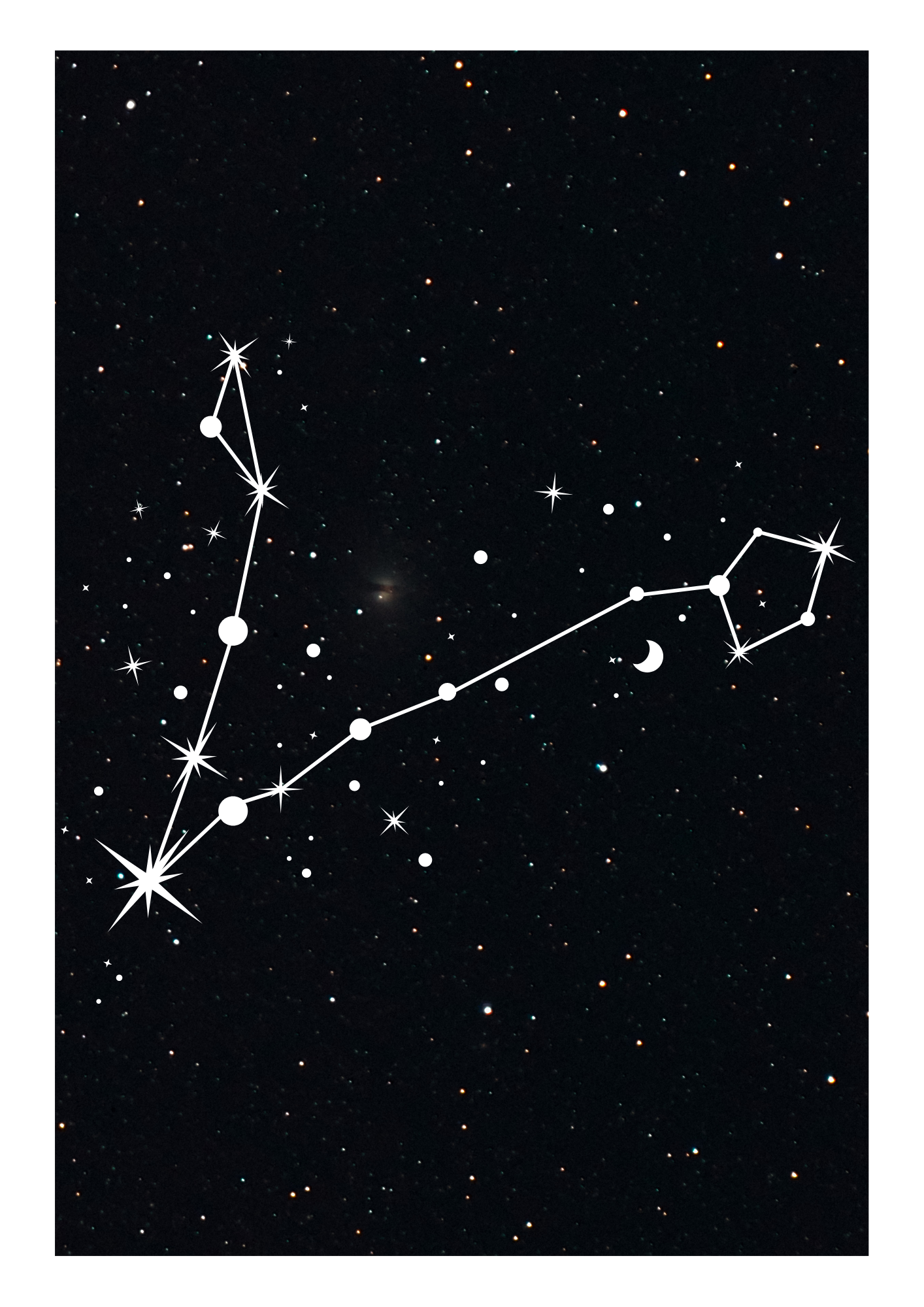 Zodiac Prints