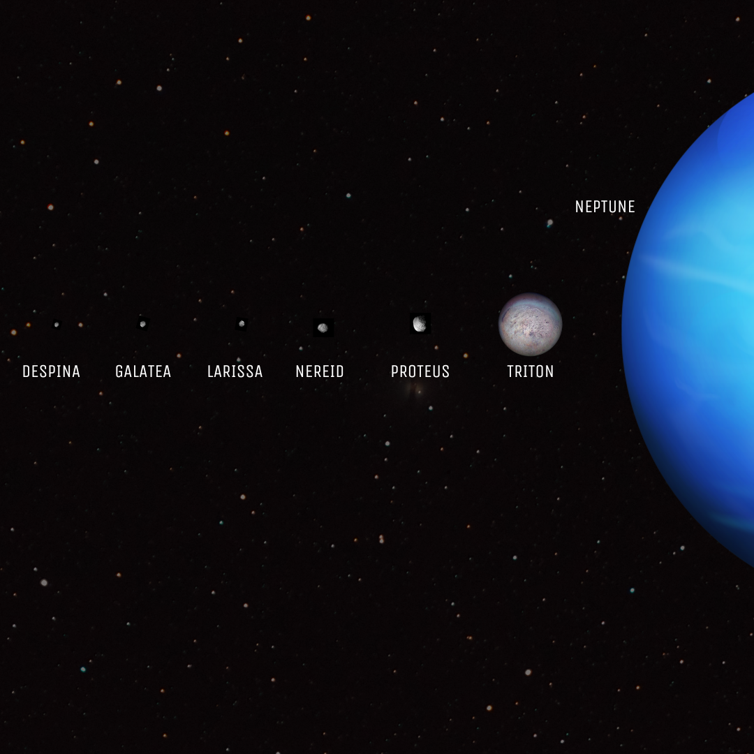 Solar System: Neptunian System