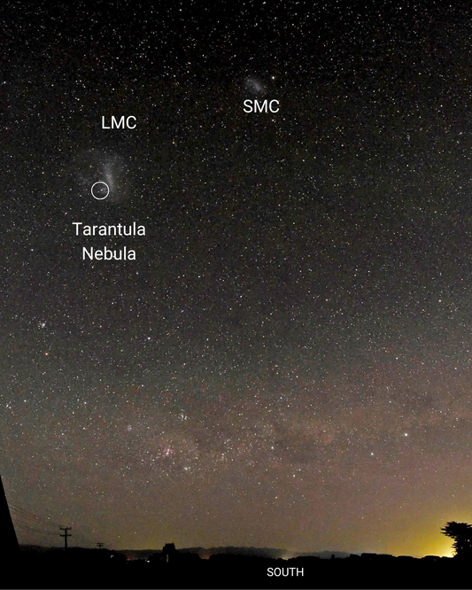 Astronz Object of the Week: The Tarantula Nebula 🕷✨